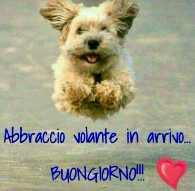 "Abbraccio volante in arrivo... BUONGIORNO!!!"