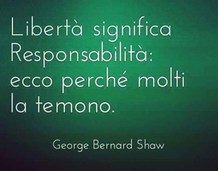 "Libertà significa responsabilità: ecco perchè molti la temono." - Frasi brevi