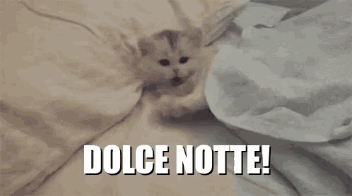 "DOLCE NOTTE!" - Buonanotte GIF