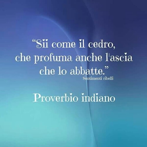 "Sii come il cedro, che profuma anche l'ascia che lo abbatte." - Proverbio Indiano