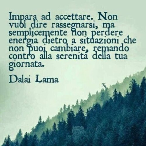 Aforismi - "Impara ad accettare. Non vuol dire rassegnarsi, ma semplicemente non perdere energia dietro a situazioni che non puoi cambiare, remando contro alla serenità della tua giornata" - Dalai Lama