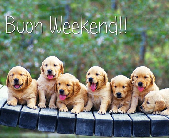 "Buon Weekend !!!"