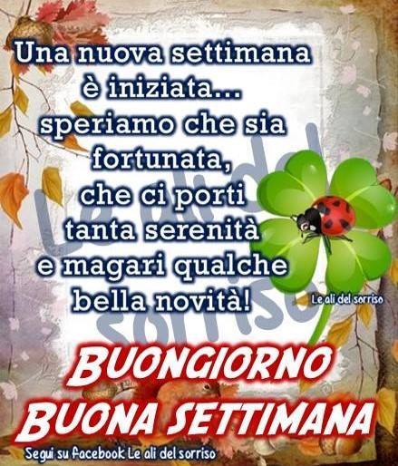 "Una Nuova Settimana è iniziata, speriamo che sia fortunata, che ci porti tanta serenità e magari qualche bella novità! BUONGIORNO BUONA SETTIMANA"