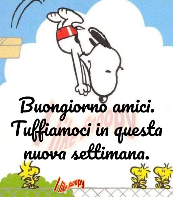 "Buongiorno amici. Tuffiamoci in questa Nuova Settimana" - Snoopy