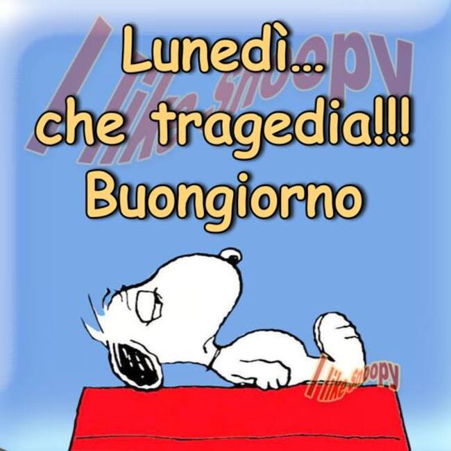 "Lunedì... che tragedia!!! Buongiorno" - Snoopy