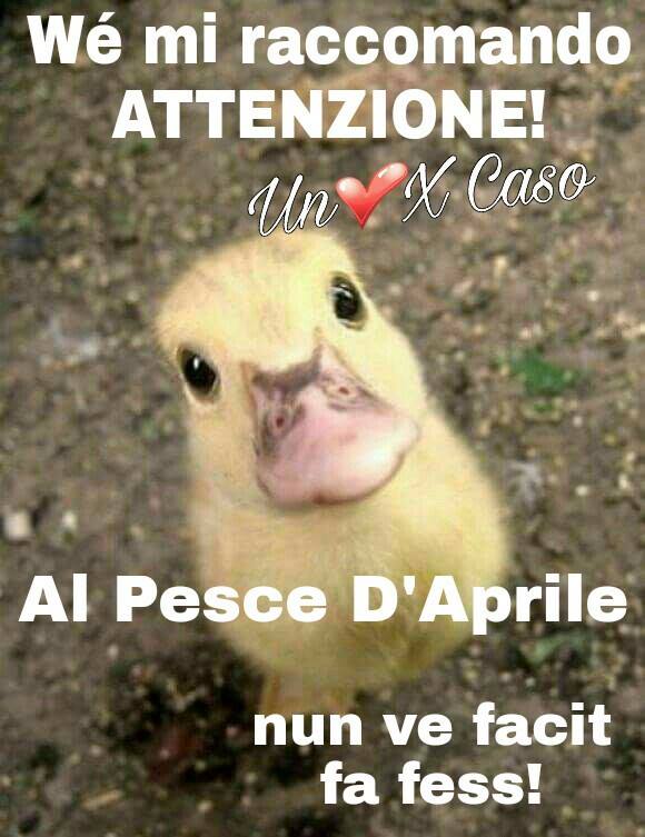 "We mi raccomando attenzione al Pesce d'Aprile! Nun ve facit fa fess!"