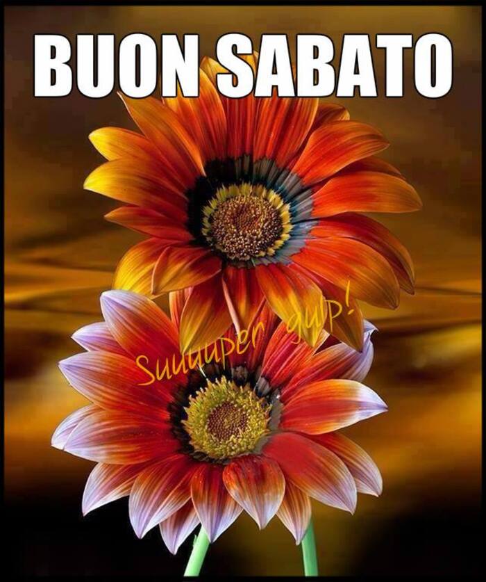 "BUON SABATO"