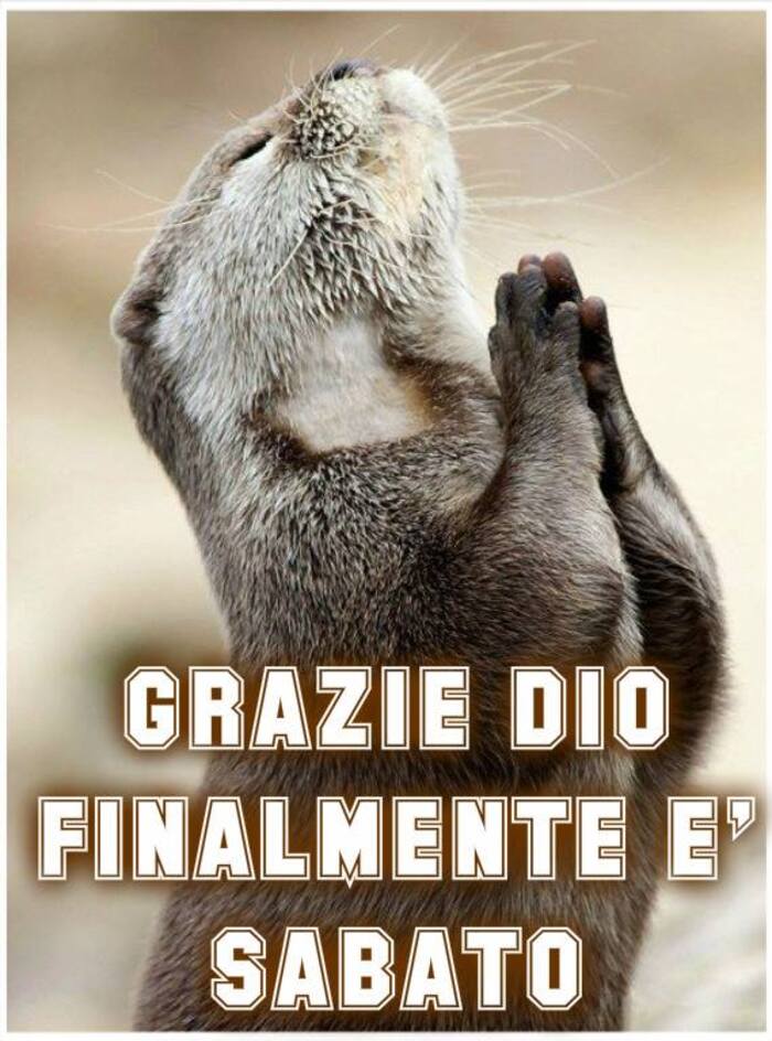 "Grazie Dio finalmente è Sabato" - immagini spiritose