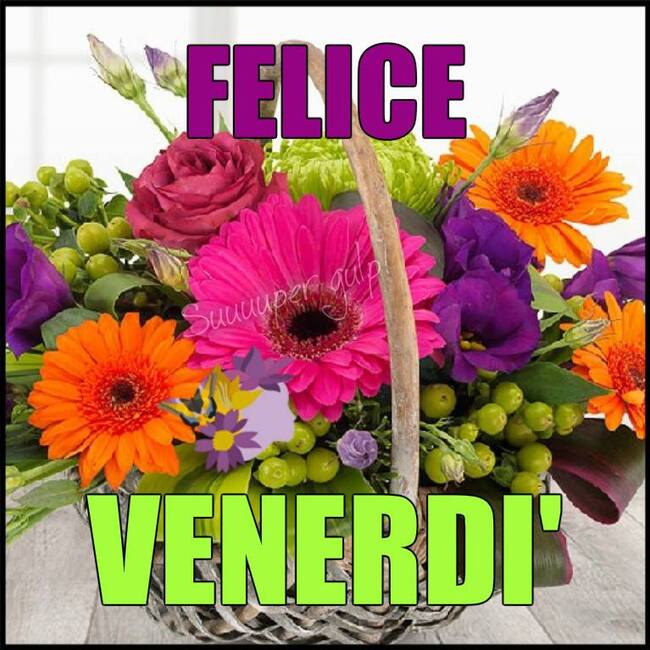 "Felice Venerdì"