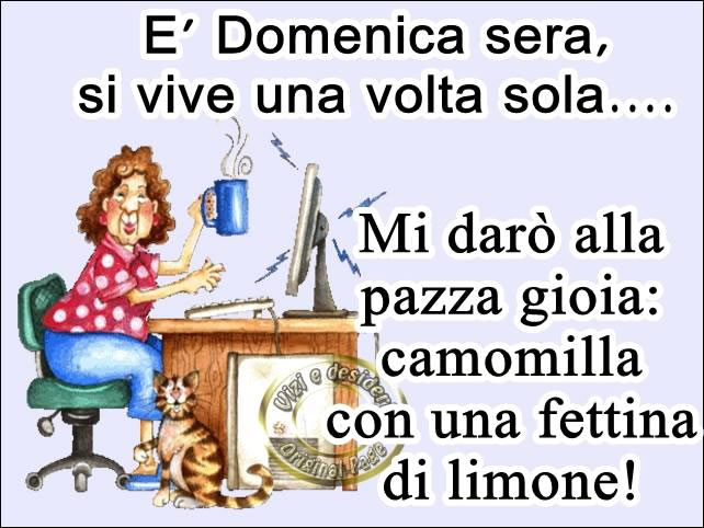 "E' Domenica Sera, si vive una volta sola... Mi darà alla pazza gioia: camomilla con una fettina di limone!" - immagini divertenti