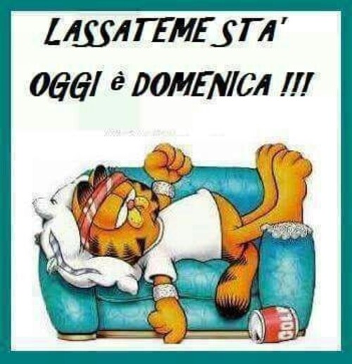 Buona Domenica Divertente 10 Link Per Tutti Top10immagini It