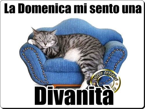 "La Domenica mi sento una Divanità !" - Buona Domenica divertente