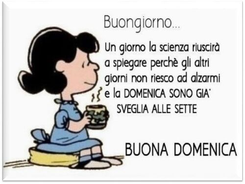 "Buongiorno. Un giorno la scienza riuscirà a spiegare perchè gli altri giorni non riesco ad alzarmi e la DOMENICA SONO GIA' SVEGLIA ALLE SETTE! Buona Domenica"