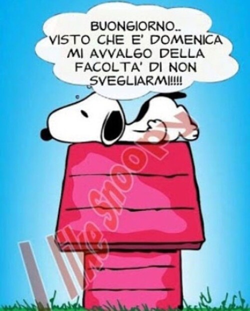 "Visto che è Domenica, mi avvalgo della facoltà di non svegliarmi !!!" - Buona Domenica divertente con Snoopy