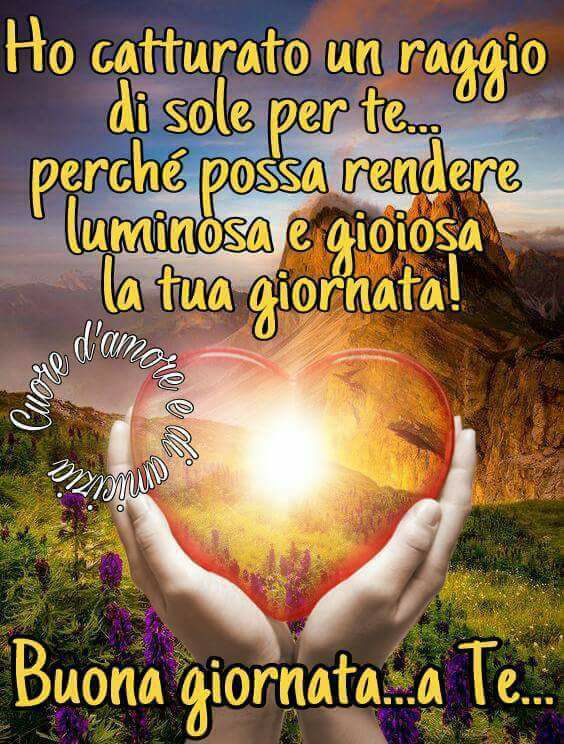 "Ho catturato un raggio di sole per te... perchè possa rendere luminosa e gioiosa la tua giornata!....."