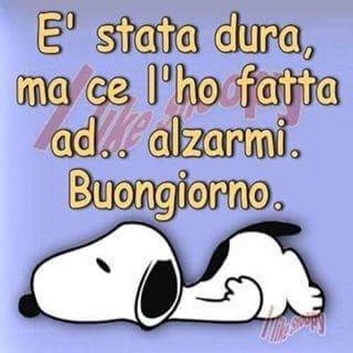 "E' stata dura ma ce l'ho fatta ad... alzarmi. Buongiorno." - Snoopy