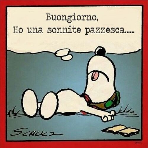 "Buongiorno, ho una sonnite pazzesca..."