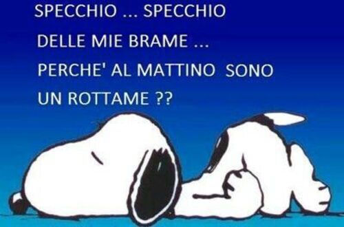 Buongiorno con Snoopy - "Specchio... specchio... delle mie brame... Perchè al mattino sono un rottame??"