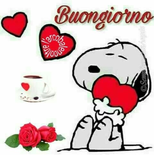 "Buongiorno" - dal vostro amico Snoopy