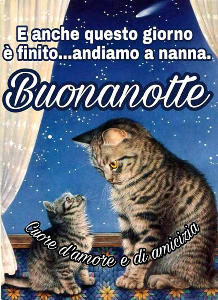 "E anche questo giorno è finito... andiamo a nanna. Buonanotte" - Cuore d'Amore e di Amicizia