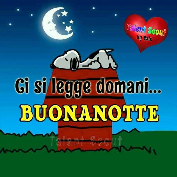 "Ci si legge domani... BUONANOTTE" - Snoopy