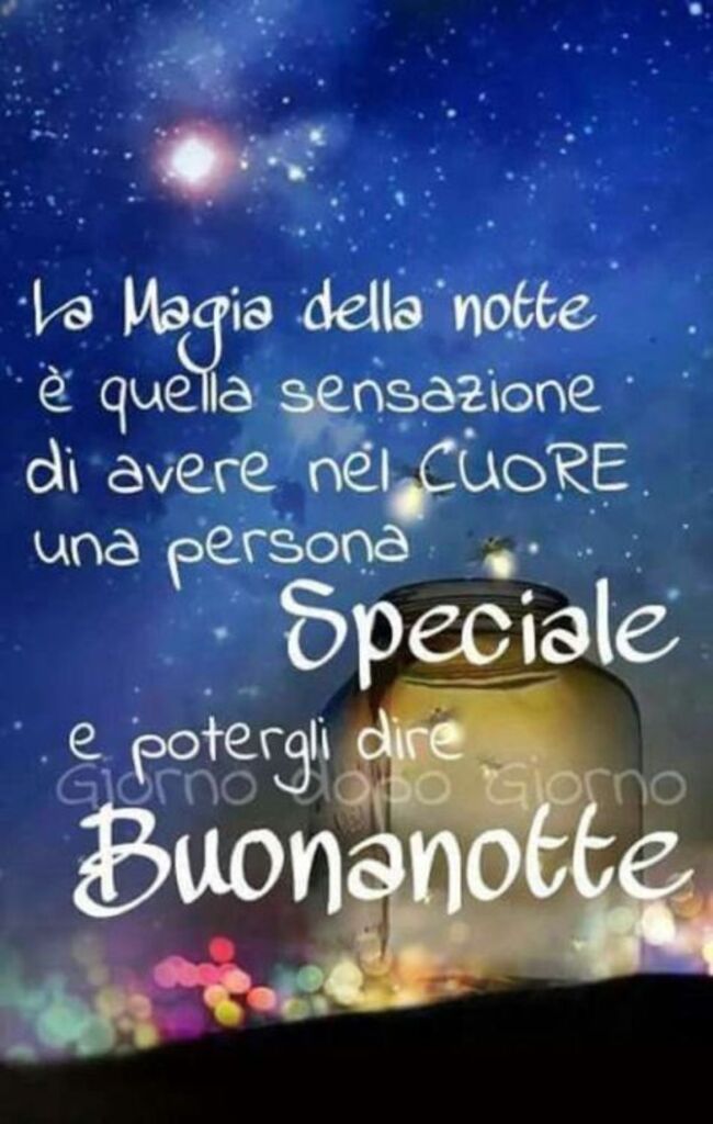 "La magia della notte è quella sensazione di avere nel cuore una persona Speciale e potergli dire Buonanotte"