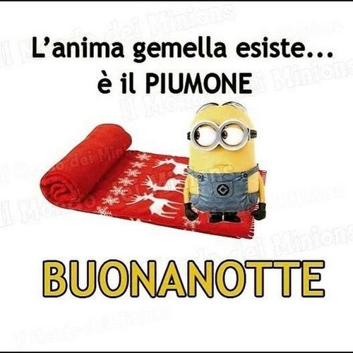 "L'anima gemella esiste... è il PIUMONE! BUONANOTTE" - immagini divertenti con i Minions