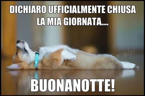 "DICHIARO UFFICIALMENTE CHIUSA LA MIA GIORNATA... BUONANOTTE!"