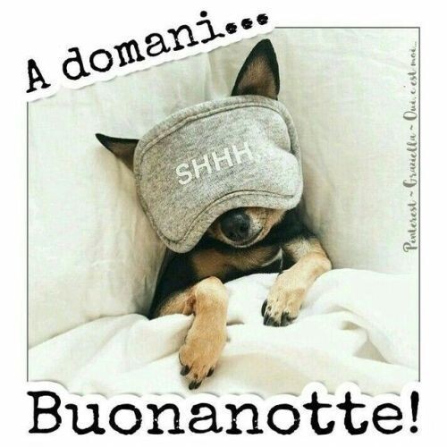 "A domani... Buonanotte!"