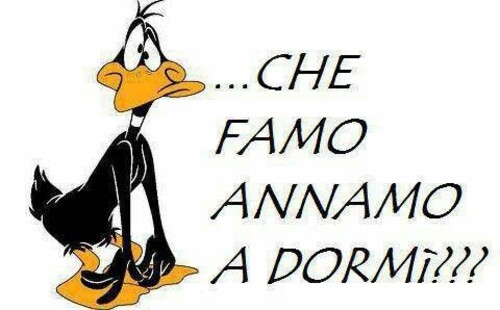 Buonanotte divertenti - "CHE FAMO ANNAMO A DORMI' ????"