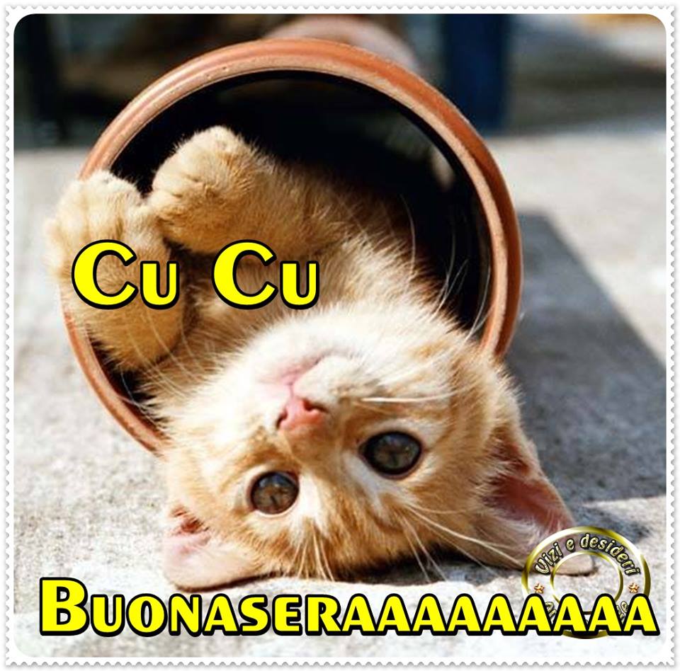 "CU CU BUONASERAAAAAAAAAAAAA"