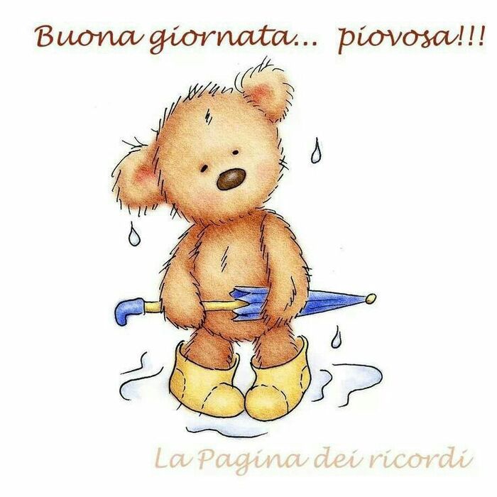 "Buona Giornata... piovosa !"