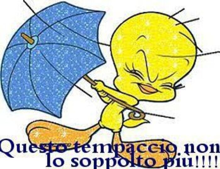 Buongiorno anche se piove - "Questo tempaccio non lo sopporto più !!!"