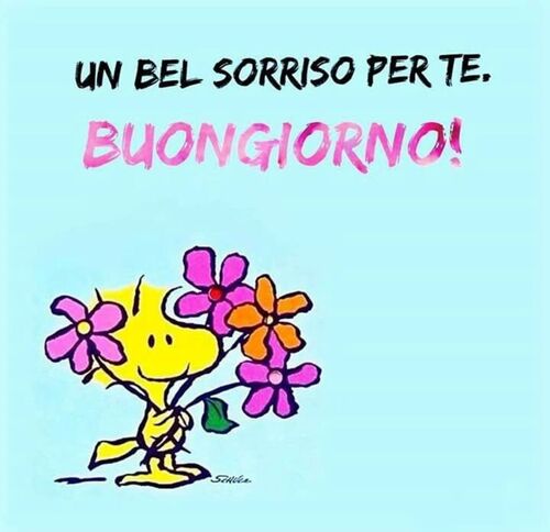 "UN BEL SORRISO PER TE. BUONGIORNO!"