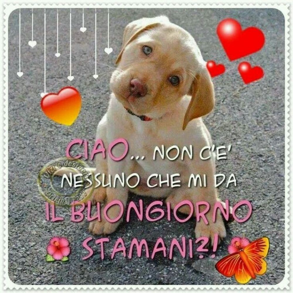 Buongiorno con gli animali - "CIAO... Non c'è nessuno che mi da il Buongiorno stamani ?!"