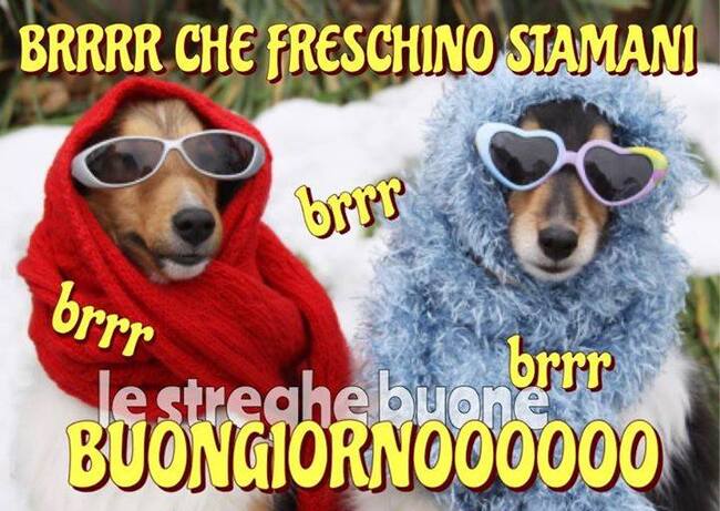 "BRRR CHE FRESCHINO STAMANI brr brr brr BUONGIORNOOOOO"