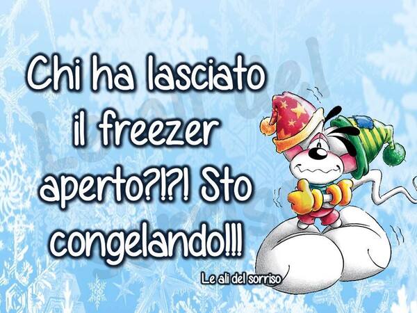 "Chi ha lasciato il freezer aperto ?!?! Sto congelando !!!"