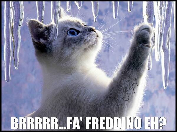 "BRRRRR... FA' FREDDINO EH ?"