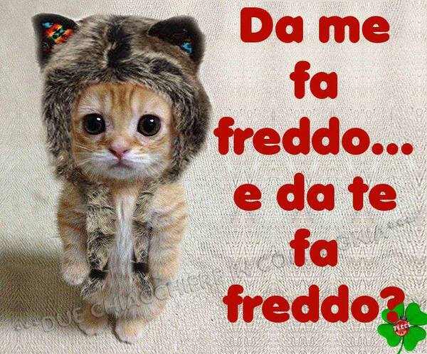 "Da me fa freddo... e da te?"