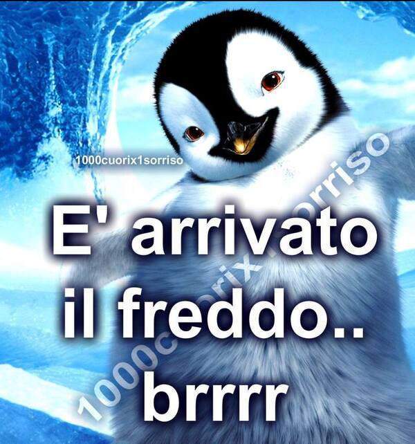 "E' arrivato il freddo... brrrr"