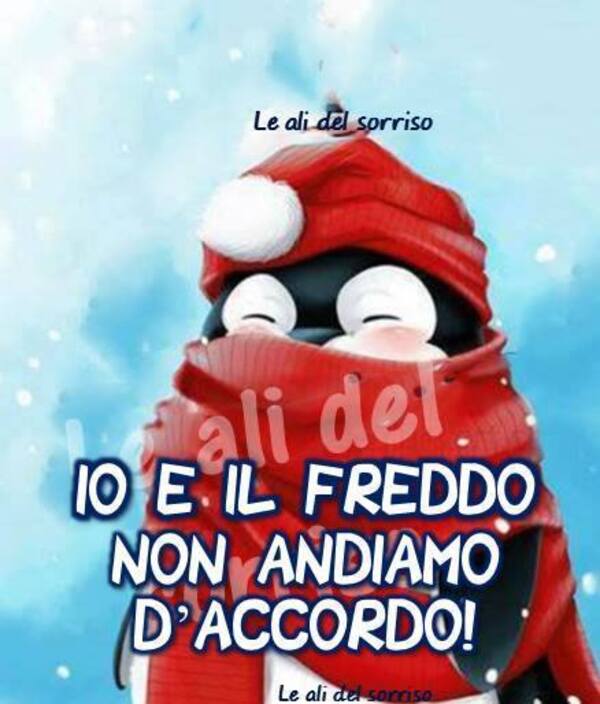 "Io e il freddo non andiamo d'accordo! "