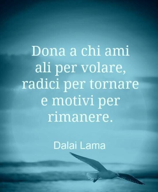 "Dona a chi ami ali per volare, radici per ritornare e motivi per rimanere." - Dalai Lama