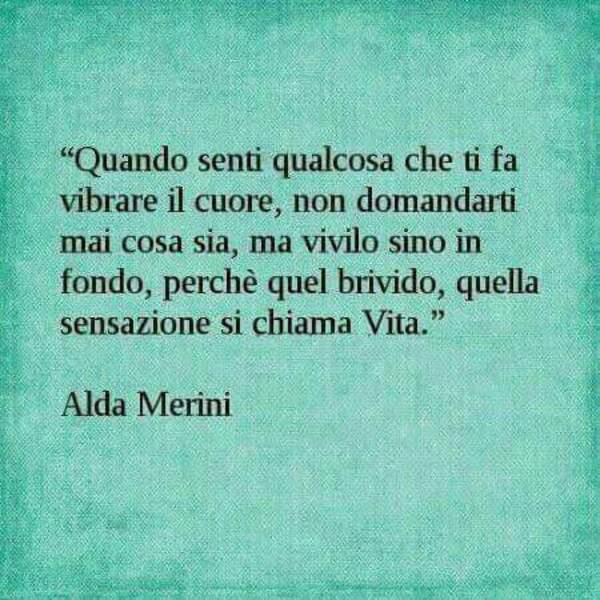 "Quando senti qualcosa che ti fa vibrare il cuore, non domandarti mai cosa sia, ma vivilo sino in fondo, perchè quel brivido, quella sensazione si chiama VITA" - Alda Merini