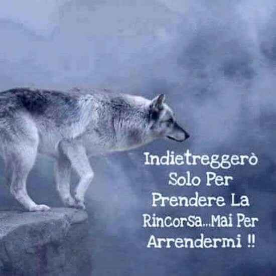 "Indietreggerò solo per prendere la rincorsa... mai per arrendermi !!" - Frasi motivazionali