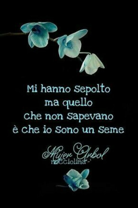 "Mi hanno sepolto, ma quello che non sapevano è che io sono un seme."