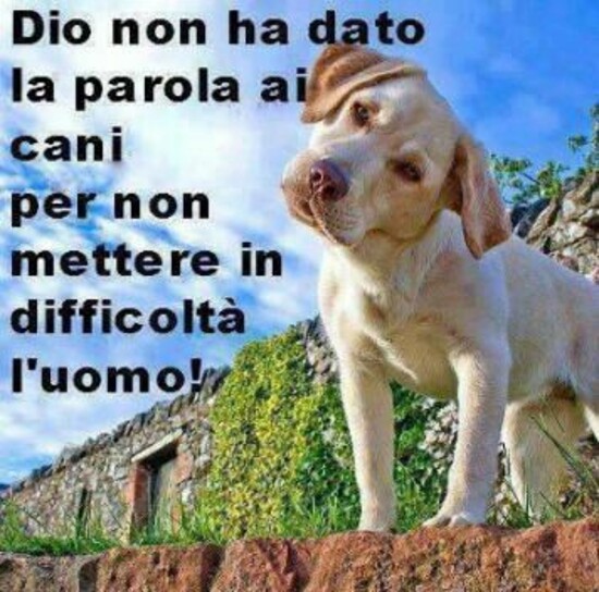 "Dio non ha dato la parola ai cani per non mettere in difficoltà l'uomo!"