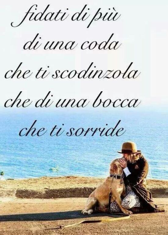 Frasi sui cani - "Fidati di più di una coda che scodinzola che di una bocca che ti sorride."