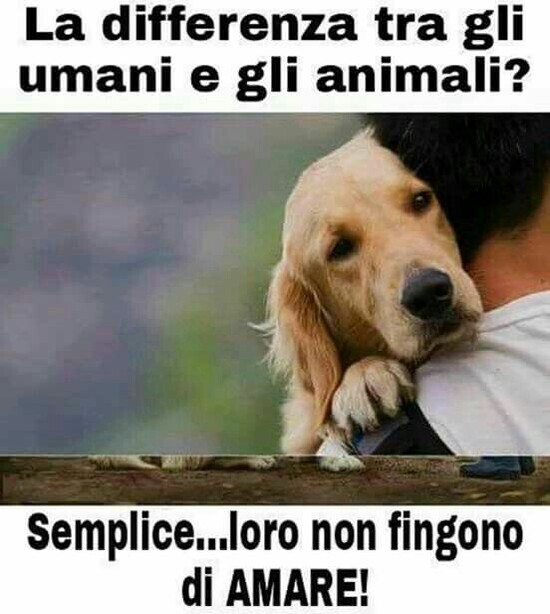 "La differenza tra gli umani e gli animali? Semplice... loro non fingono di AMARE!"