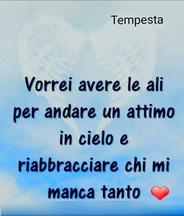 "Vorrei avere le ali per andare un attimo in cielo e riabbracciare chi mi manca tanto."