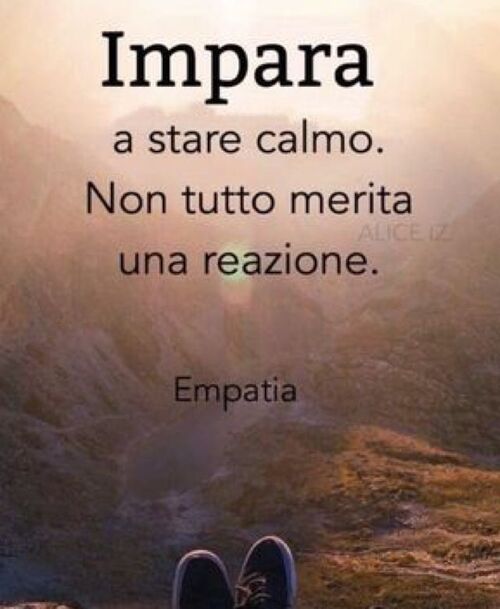 Frasi sulla Vita - "Impara a stare calmo. Non tutto merita una reazione."